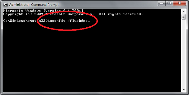 Type ipconfig /flushdns
