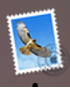 Apple Mail